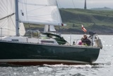 oystercatcher 3245c whyw19 wed gjmc 4602